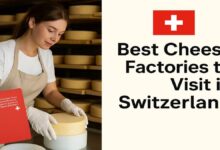 Best Cheese Factories to Visit in Switzerland