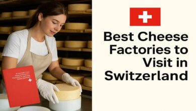 Best Cheese Factories to Visit in Switzerland