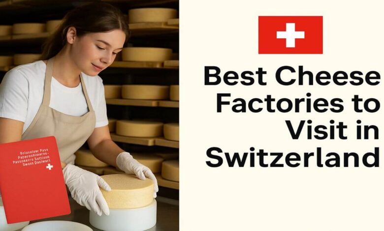 Best Cheese Factories to Visit in Switzerland
