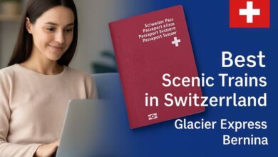 Best Scenic Trains in Switzerland - Glacier Express Bernina