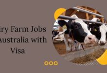Dairy Farm Jobs in Australia with Visa