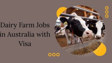 Dairy Farm Jobs in Australia with Visa