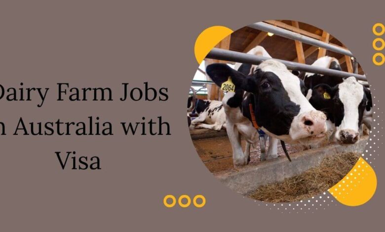 Dairy Farm Jobs in Australia with Visa
