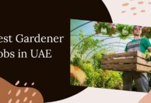 Latest Gardener Jobs in UAE