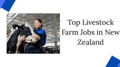 Top Livestock Farm Jobs in New Zealand