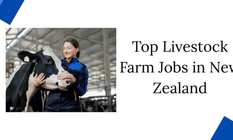 Top Livestock Farm Jobs in New Zealand