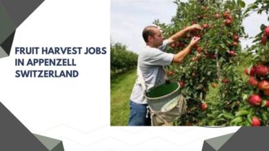 Fruit Harvest Jobs In Appenzell Switzerland