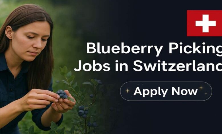 Blueberry Picking Jobs in Switzerland