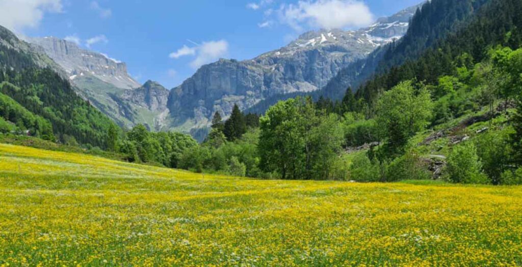 Spring Weather in Switzerland (March–May)