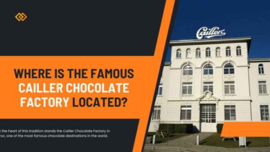 Where Is the Famous Cailler Chocolate Factory Located