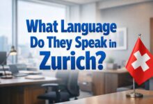 Zurich Language What Language Do They Speak in Zurich