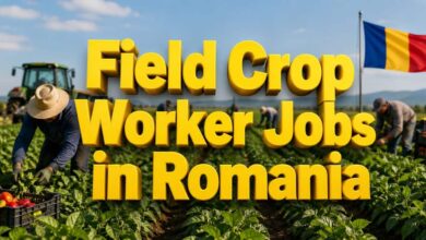 Field Crop Worker Jobs in Romania
