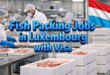 Fish Packing Jobs in Luxembourg with Visa