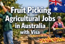Fruit Picking Agricultural Jobs in Australia with Visa