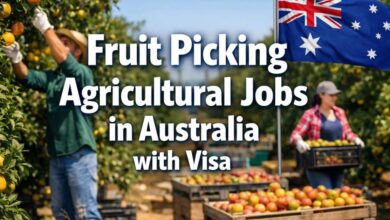 Fruit Picking Agricultural Jobs in Australia with Visa