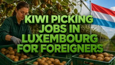 Kiwi Picking Jobs in Luxembourg for Foreigners