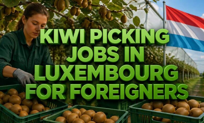 Kiwi Picking Jobs in Luxembourg for Foreigners